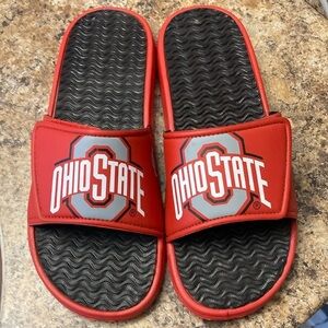 Ohio State Slides